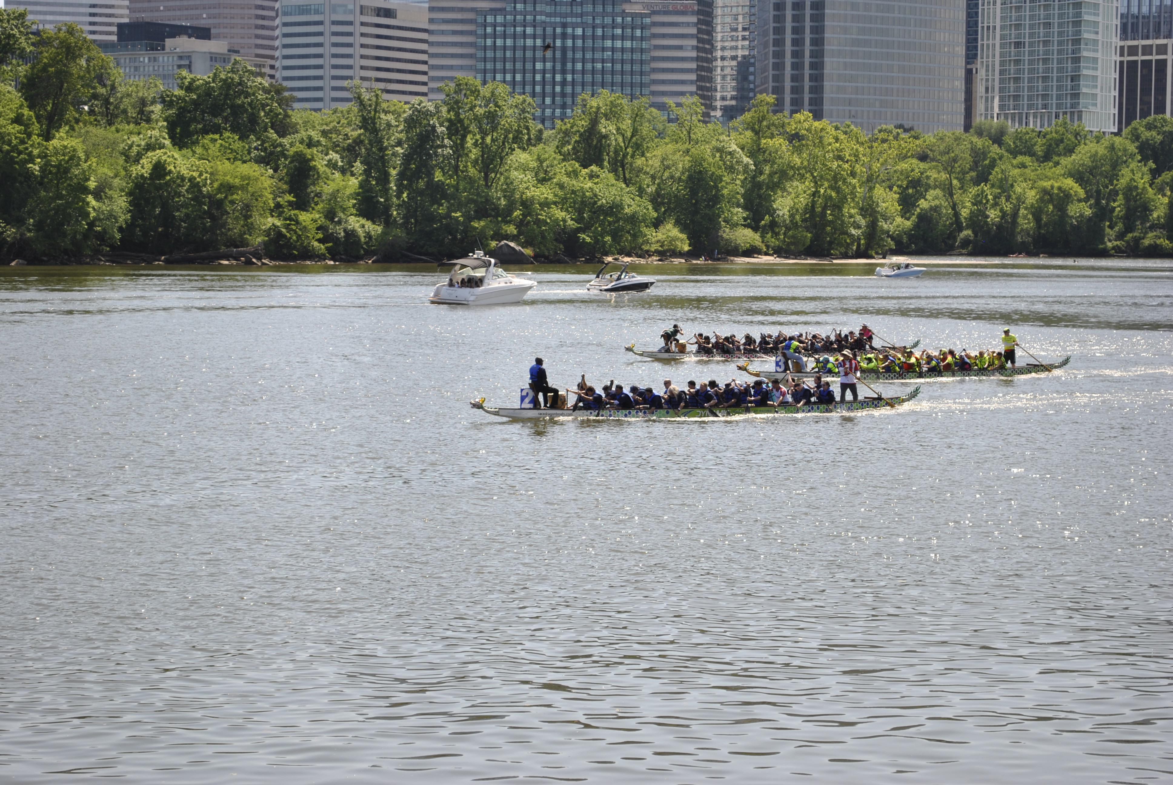 DC Dragon Boat Festival at Georgetown Waterfront Park